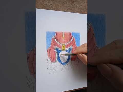 How to draw Voltes V #shorts