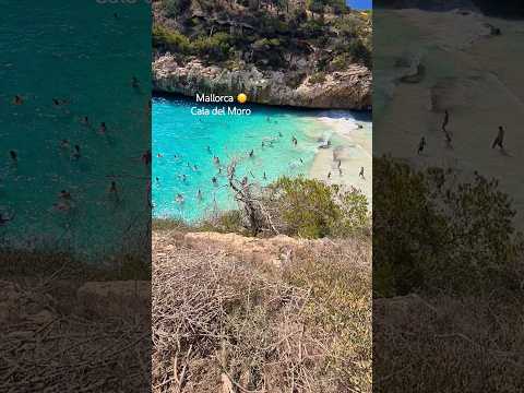 CALA DEL MORO 🏖 Mallorca