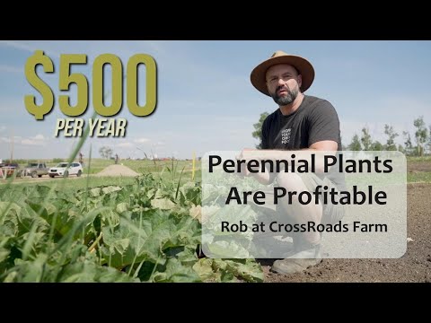 How to Make $500 SELLING SOUR on Your Permaculture Property ... Sweet!