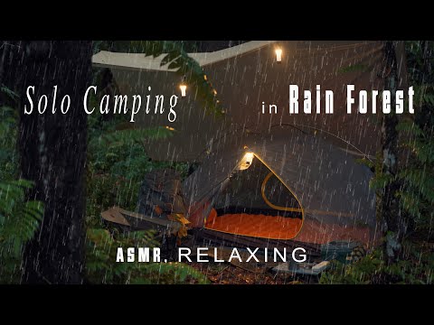 Rainforest camping | ASMR