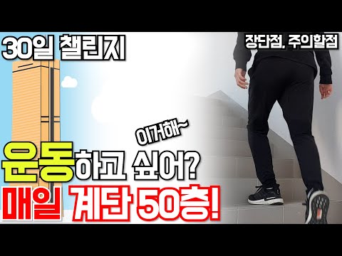 계단 오르기 운동 효과 대박! 무릎 통증 없애는법! 다리 근육증가 체중감량! 유산소 다이어트까지! 허벅지 종아리 운동! 김종국님 감사합니다! 한달 도전 [두꼽이챌린지] 오내나 란쵸