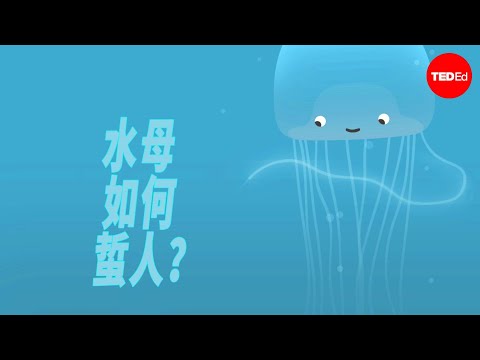 水母如何蜇人？ - Neosha S Kashef