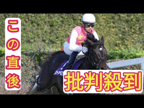 ジューンベロシティ11秒８半馬身先着　武英師「４回目J・G1でなんとか」／中山大障害