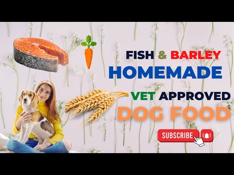 Fish and Barley Homemade vet approved  easy to cook  Human grade  dog food | blogsbyibrar