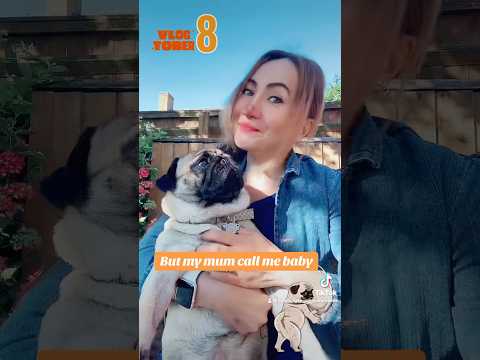 #dogshorts #pug #dogsoftiktok #fypシ゚viral #dogmom #dogname #justforfun #vlogtober #day8 #halloween