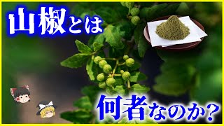 【ゆっくり解説】日本最古のスパイス!?ジャパニーズペッパー「山椒」とは何者なのか？を解説/花椒・山椒・花山椒の違いとは？