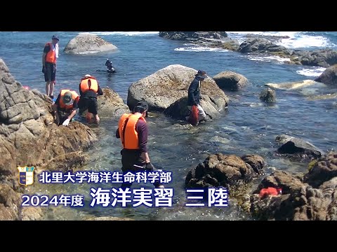 2024年度海洋実習（三陸）