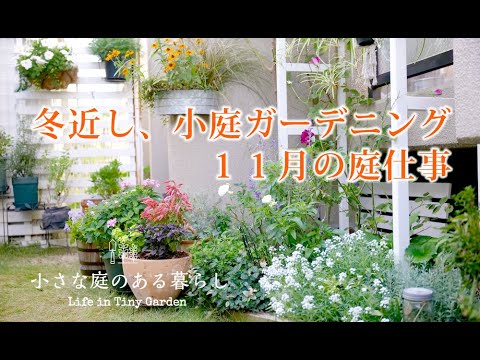 ガーデニング Vlog｜冬近し、シェードガーデン、１１月の庭仕事！！｜ 〜小さな庭のある暮らし 148〜Gardening ｜ Life in a tiny garden