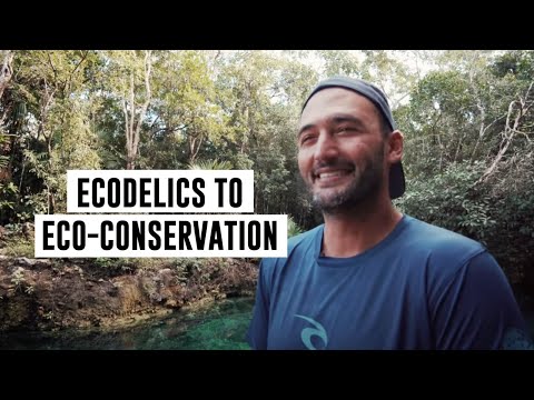 ECODELICS TO ECO-CONSERVATION