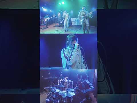 muque - "ブルーライト" (Live Movie) #muque #ブルーライト #bluelight #playpark #shorts