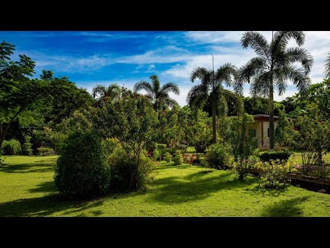 Tachang Garden Cottage, Ban Tha Chang, Thailand