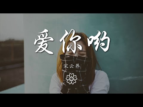 宋雲昦 - 愛你喲『你好像有一種魔力 看見你』【動態歌詞Lyrics】