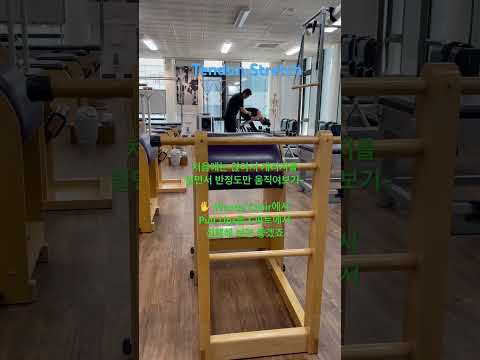 고급리포머 Tendon Stretch #콜링필라테스 #클래식필라테스 #필라테스강사 #필라테스교육 #필라테스기구 #필라테스운동 #shorts