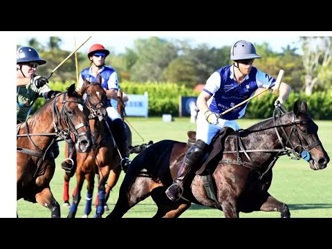 HEIR SAY: Was Harry’s absence from polo doc a call by Meghan or Netflix?