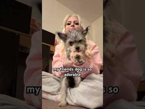 her name is subway bc shes only 1 foot long🤣 #trending #viralvideo #comedy #tiktok #shorts