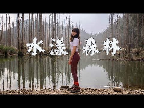 登山vlog | 再次落入凡間仙境！超美水漾森林！| 新手重裝路線｜兩天一夜野營行程