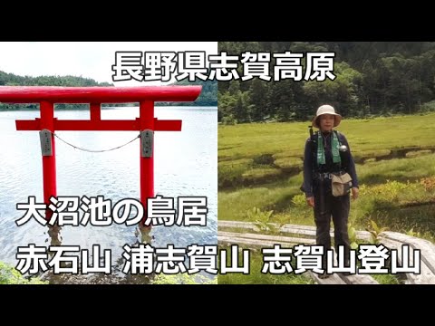 登山 志賀高原 赤石山 浦志賀山 志賀山 大沼池の赤い鳥居 日帰り１６キロ