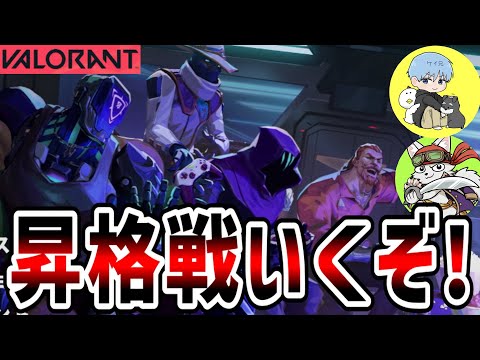 【VALORANT】アイソを使って昇格をするガチコンペ