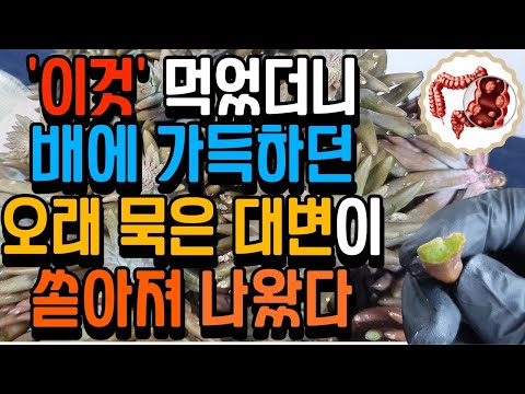 ‘이것’을 먹었더니 배에 가득하던 대변이 쏟아져 나왔다 | 변비의 고통에서 탈출! ( 당뇨병, 항암, 아토피, 변비, 고지혈증, 백내장, 안구건조증, 간염)