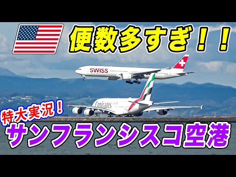 【同時離着陸！】サンフランシスコ空港はいつも大盛況！アメリカの本場の飛行機の数々を実況！！[ANA海外発券でLAX遠征 #10]