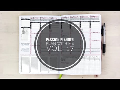 Plan With Me! | Vol. 17