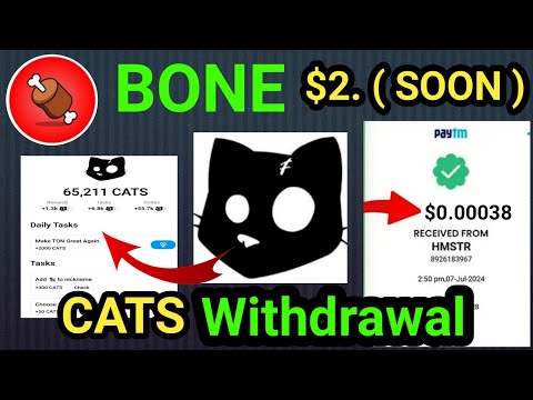 CATS Exchange Withdrawal Big Profite 😰 || BONE Latest Update || CATS Airdrop || Crazy Crypto Mintoo