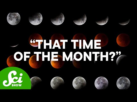 Does the Moon Control Your Period?