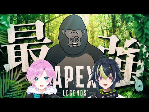 【APEX LEGENDS】合同カスタム解禁らしいぞ【バーチャルゴリラ/夕陽リリ/助っ人：森中花咲/コーチ：Cabaggest】