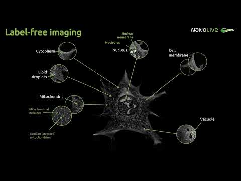 Label free Imaging