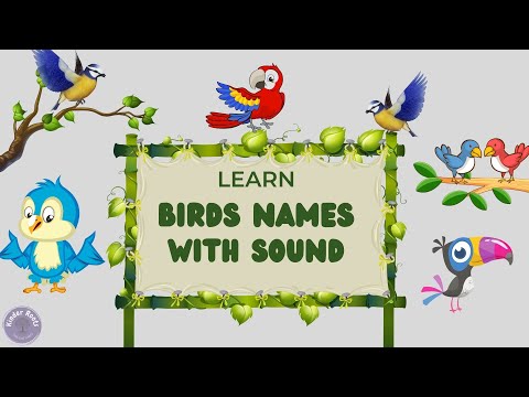 Learn Birds Name with Sound | English Kids vocabulary | Pre School Nursery Kids Video | Kinder Roots