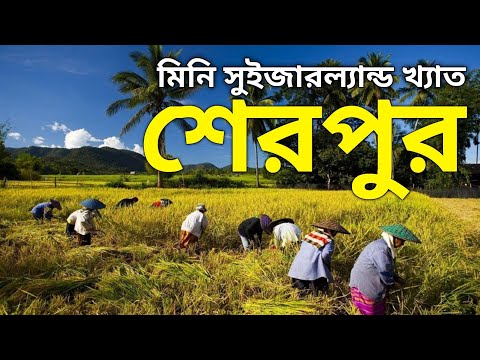 মিনি সুইজারল্যান্ড খ্যাত শেরপুর জেলা ভ্রমণের সবকিছু | Sherpur Tour | Sherpur