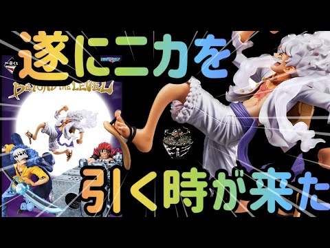 【一番くじワンピース】遂に一番くじにニカが！きた！引ける時が！来た！！！