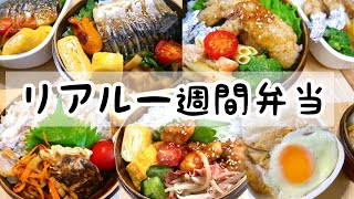 【お弁当作り】1週間のリアルお弁当日記(レシピ付き)／弁当横に無表情で寄り添う猫【bento】