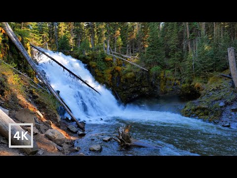 4K Grotto Falls Ambience | Relaxing Water Sounds | Nature Scene for Relaxation | White Noise |