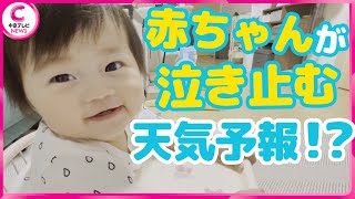 【８か月の女の子】気象予報士のサプライズ訪問に赤ちゃんは…テレビの天気予報を見ると泣き止む！？ #中京テレビニュース