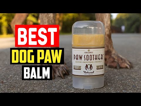 ✅Best dog paw balm in 2023