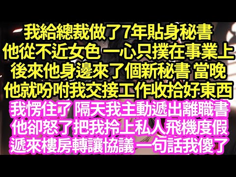 我給總裁做了7年貼身秘書，他從不近女色 一心只撲在事業上，後來他身邊來了個新秘書 當晚他就吩咐我交接工作收拾東西，我愣住了 隔天我主動遞出離職書，他卻怒了把我拎上私人飛機#甜寵