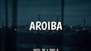 AROIBA - Aniel RK x DUDE ME Lyrics