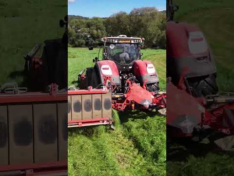 Steyr Terrus 6270 CVT with Kuhn butterfly | Luxembourg 2024