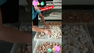 pigeon farm in china 😱🕊️🕊️ #short #shorts #viral #trending #pigeon