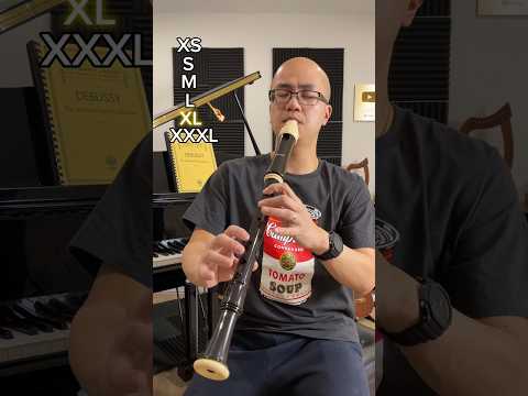 Harry Potter Theme! Tiny vs GIANT recorder!!!