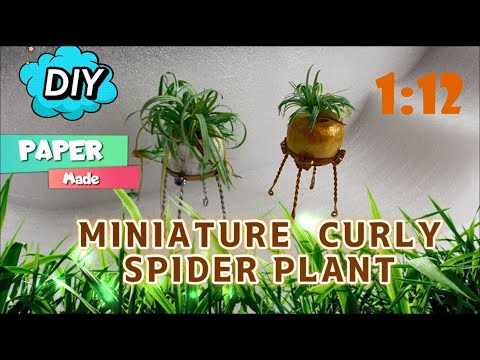 DIY MINIATURE SPIDER PLANT IN 1:12