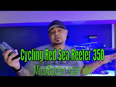 Cycling red sea reefer 350