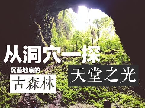 印尼日惹Vlog:沉落地底的古森林，从洞穴一探天堂之光 |甜辣椒|印尼传统乐器演奏|贡多拉|印度尼西亚|旅游攻略