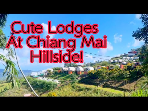 Look at these cute lodges at hillside of Chiang Mai!