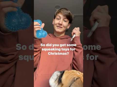 How to STOP THE SQUEAK! #dogchristmas #dogtoys #squeakytoy #dogfriendly #dogparents