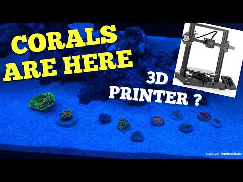 New corals! And 3D printer 🤔