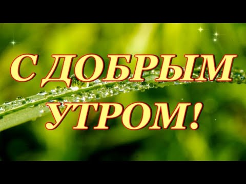 С ДОБРЫМ УТРОМ! С НОВЫМ ДНЕМ! ПУСТЬ ПОЛУЧИТСЯ ВСЕ В НЕМ!