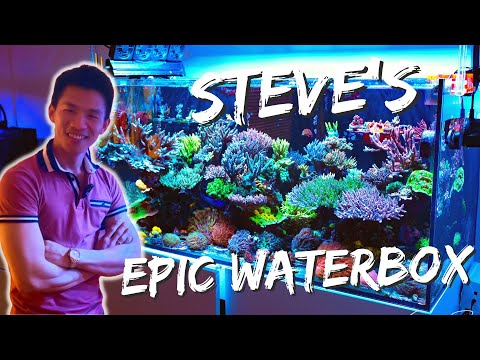 Steve Nguyen's Epic Waterbox!