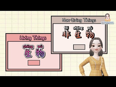 生物和非生物 Living Things and Non-Living Things｜科学｜学前教育